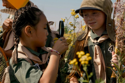 Become a nature detective and discover local species