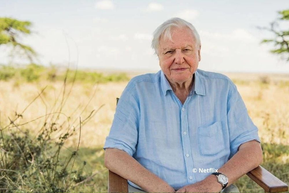 David Attenborough Neflix