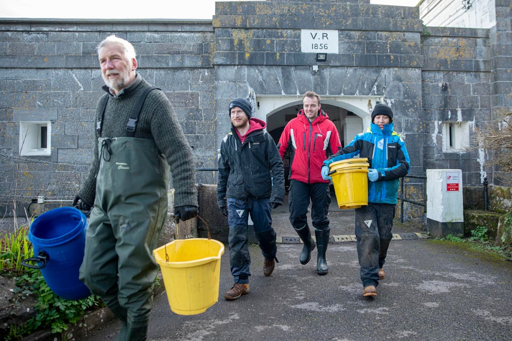 Sky Ocean Rescue, WWF and Swansea University have launched the biggest seagrass restoration project ever undertaken in the UK.