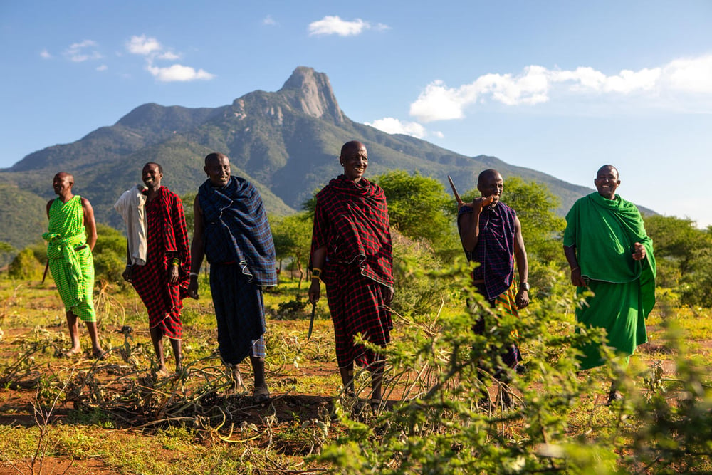 Community members from the village of Kimokouwa work to uproot and remove ipomoea hildebrandtii (Convolvulaceae) - an invasive species. The community set aside one day a week to uproot this invasive species that has caused a decline in nutritious fodder and altered ecological systems and soil. Longido district, Arusha, Tanzania. © Greg Armfield / WWF-UK