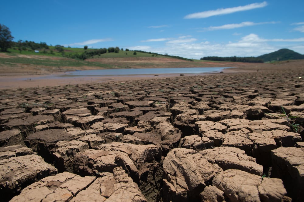 Why does climate change further drive nature and biodiversity loss?