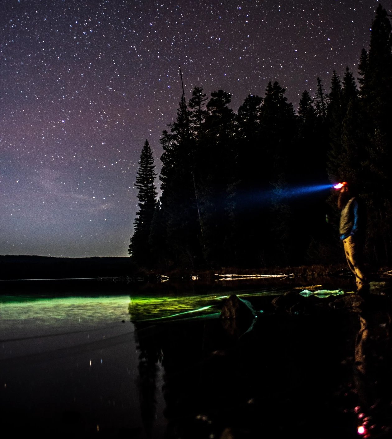 Person standing by a lake at night