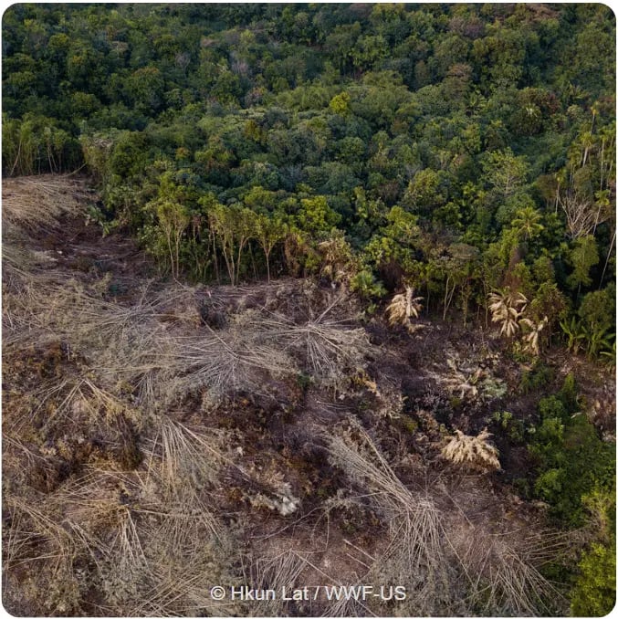 nature loss